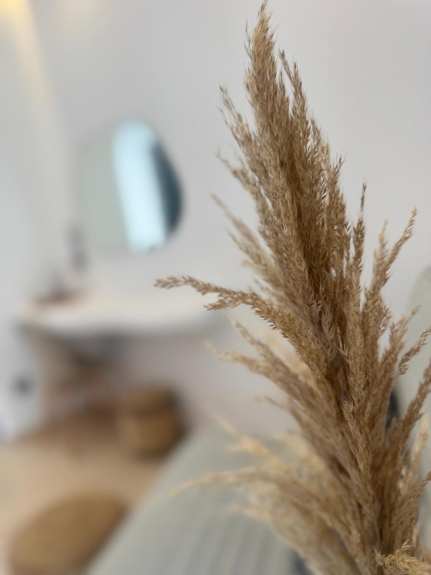 Eleni'S Rooms Antiparos Екстер'єр фото